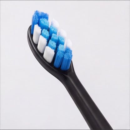 Close-up of MOLAR MP101 DuPont Tynex soft bristle brush head
